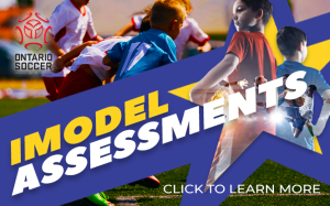 IModel Player Assessments